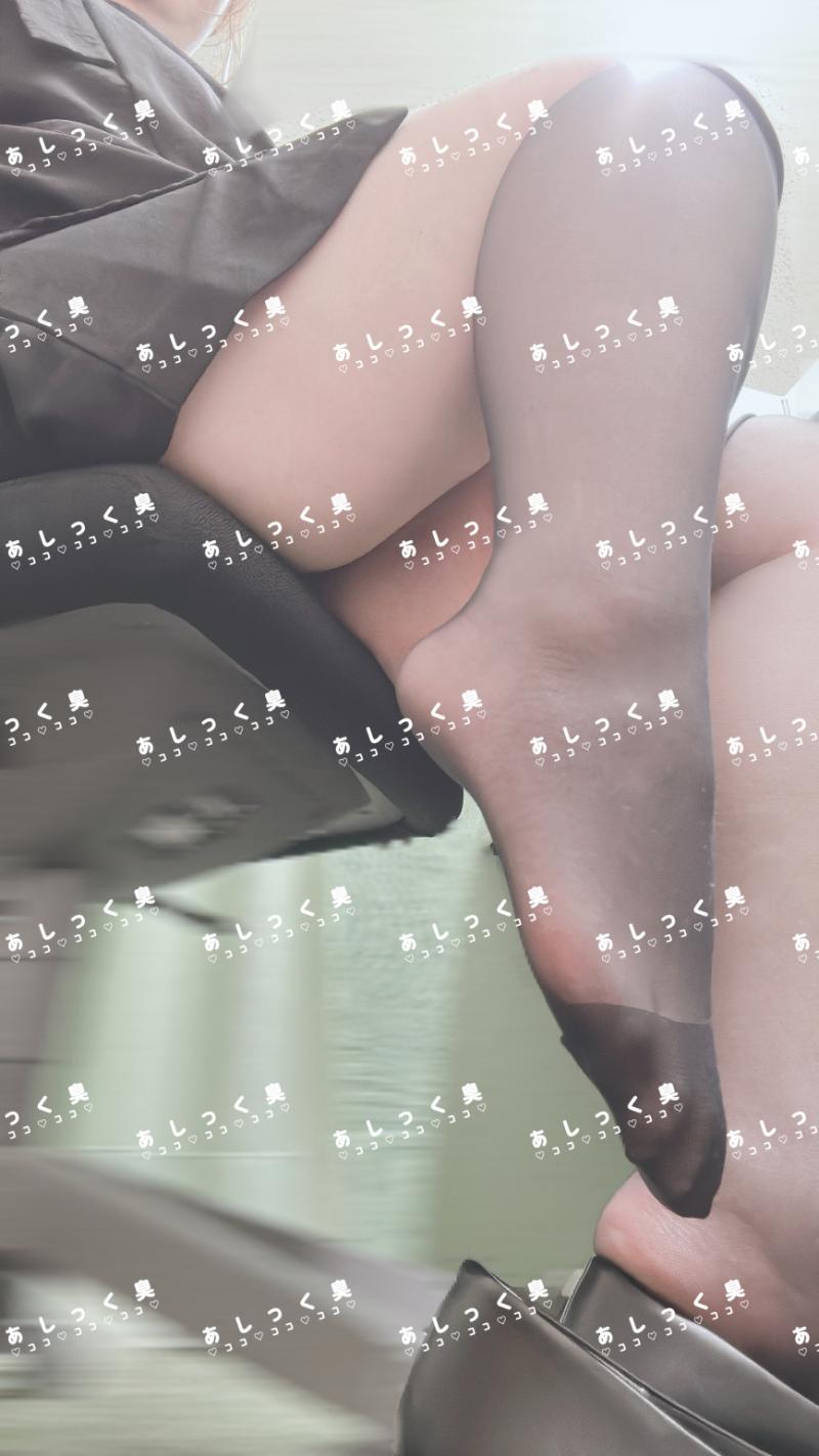 出品者名-写真-1