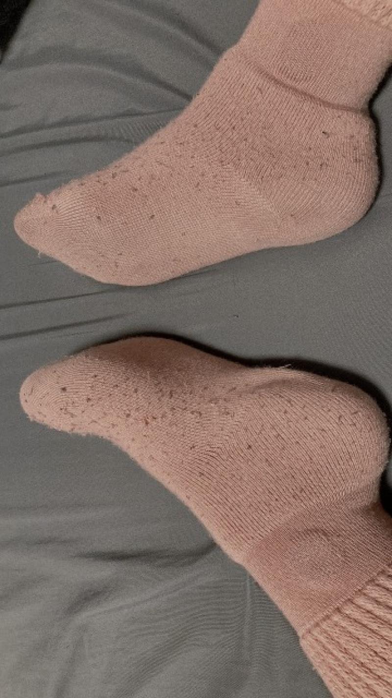 出品者名-写真-1