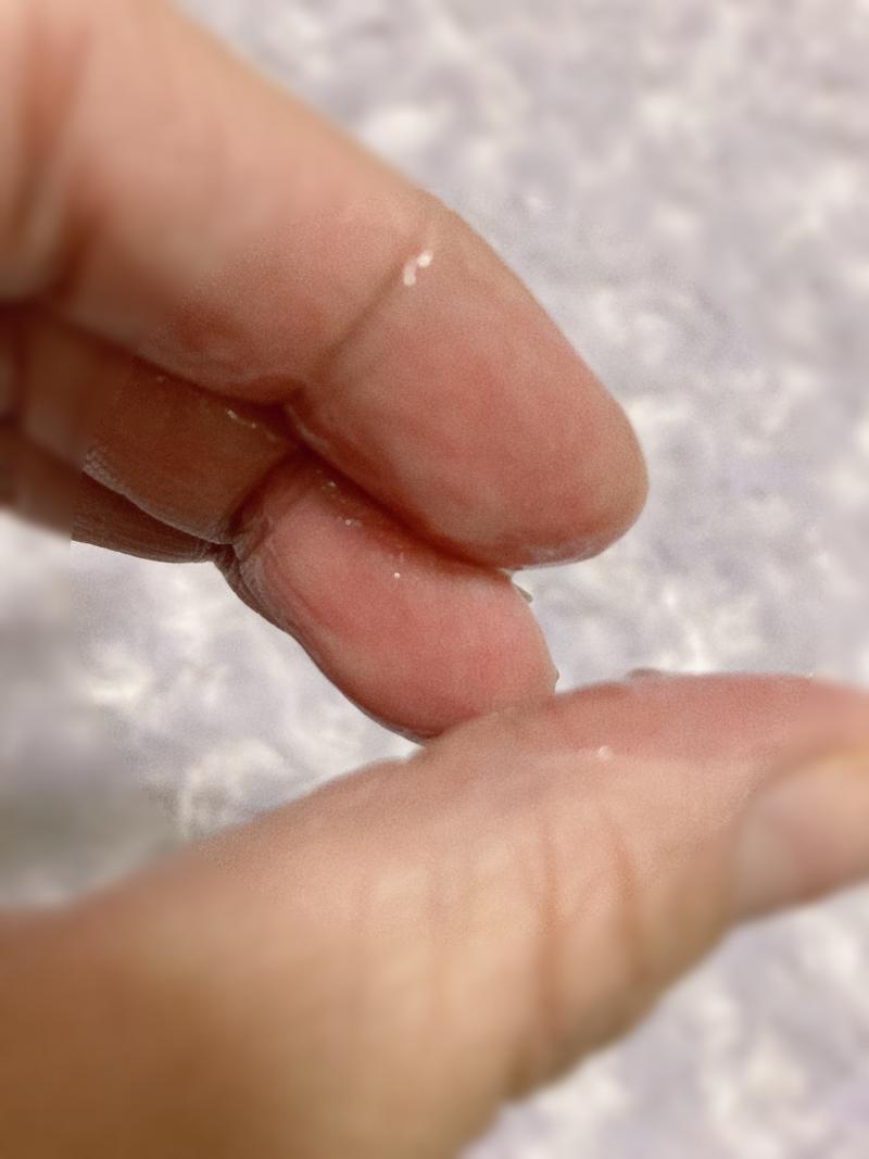 出品者名-写真-1