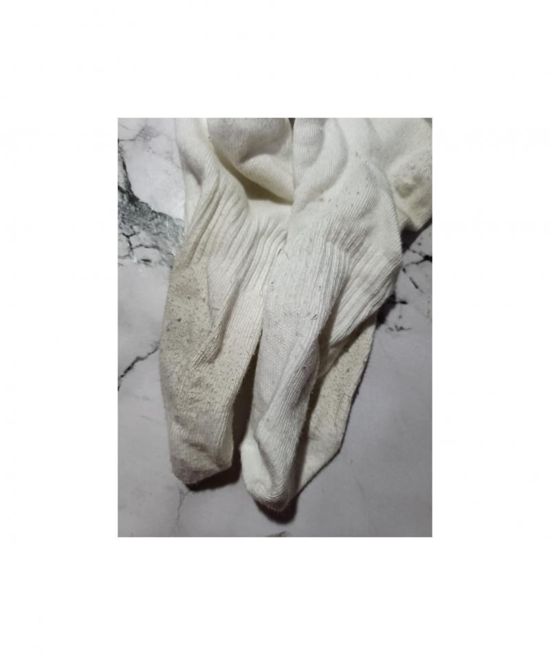 出品者名-写真-1