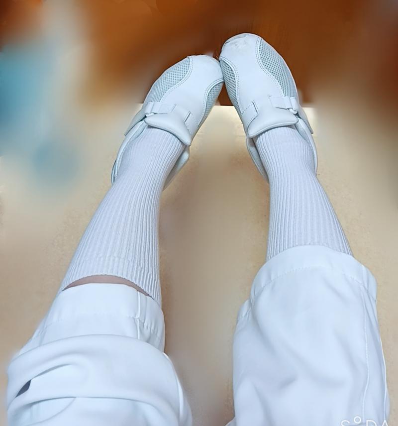 出品者名-写真-1