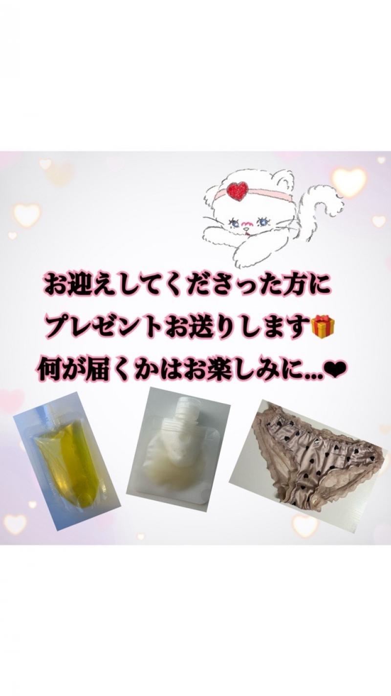 出品者名-写真-1