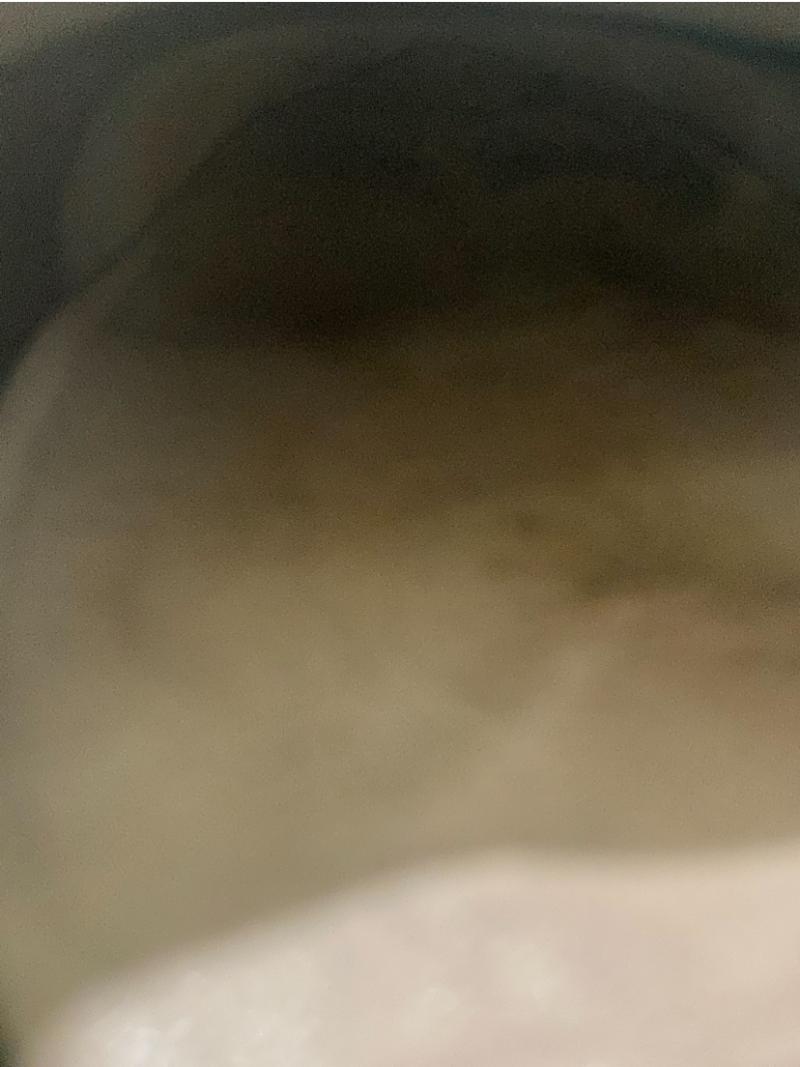 出品者名-写真-1