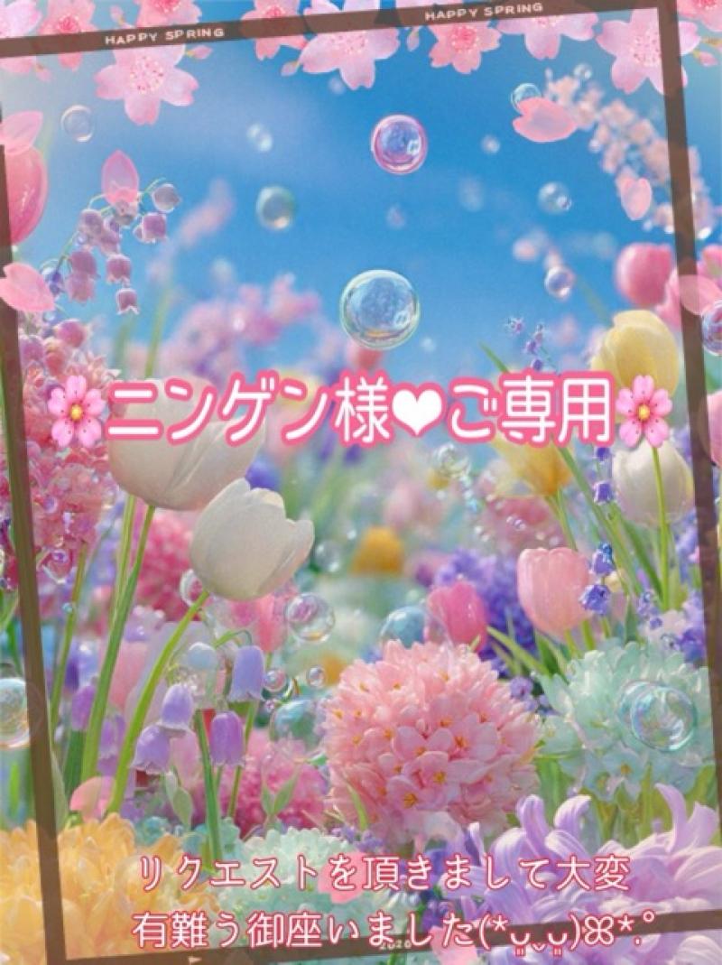 ݁˖ ❀ ⋆｡˚ニンゲン様‪‪❤︎‬ご専用݁˖ ❀ ⋆｡˚