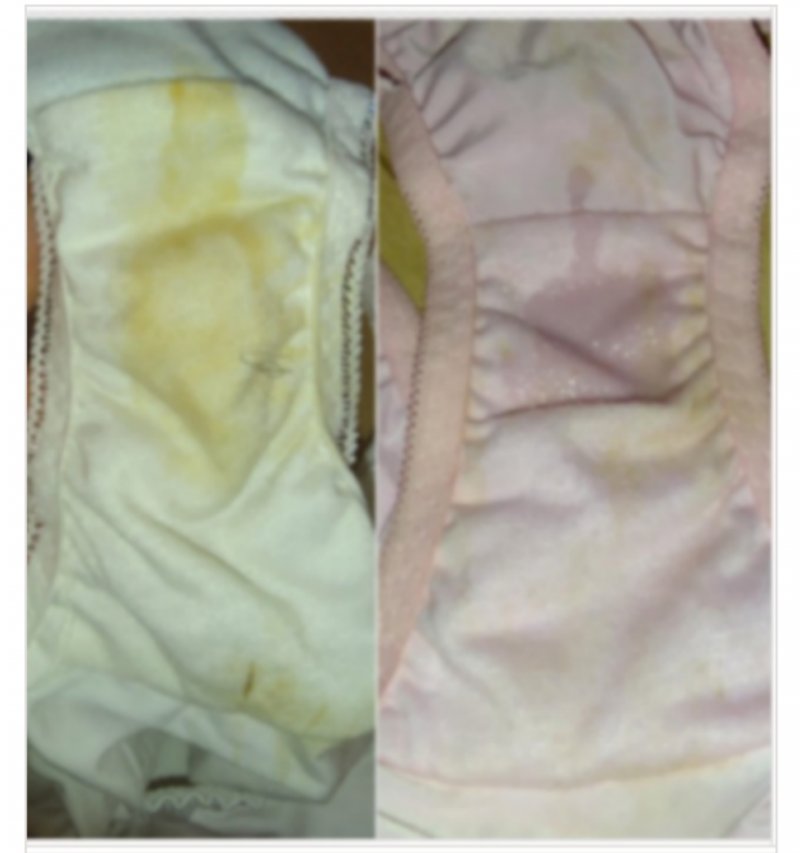 出品者名-写真-1