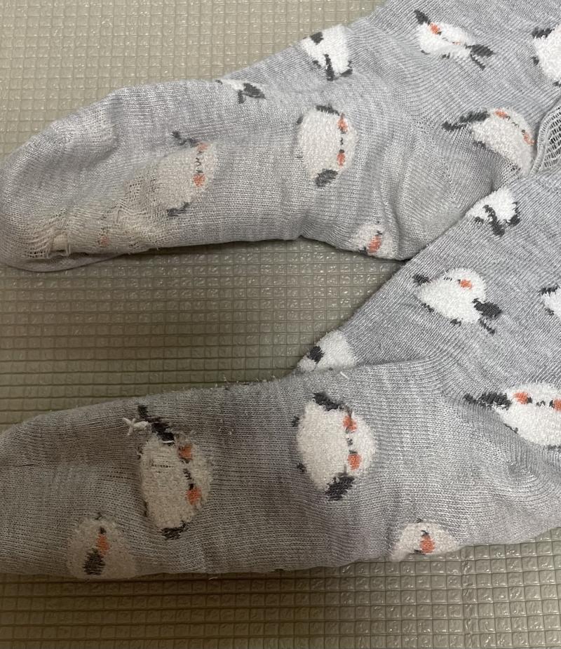 出品者名-写真-1