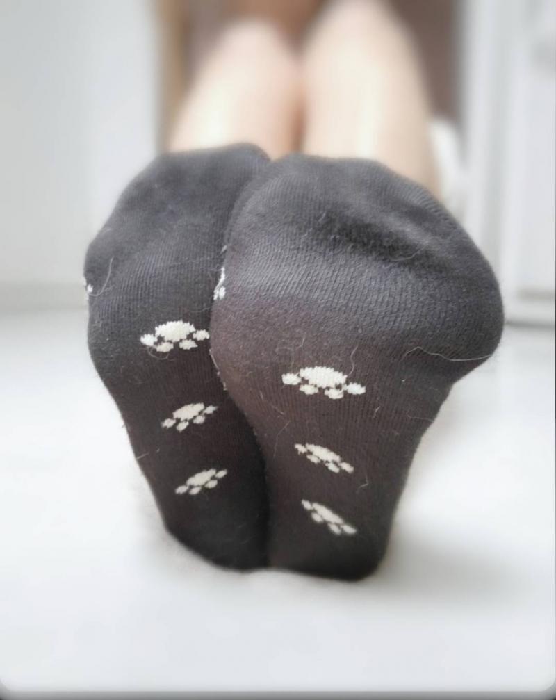 出品者名-写真-1