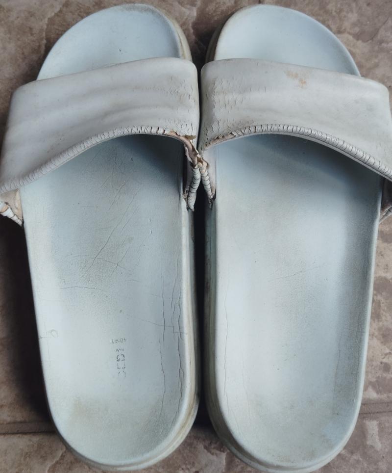 出品者名-写真-1