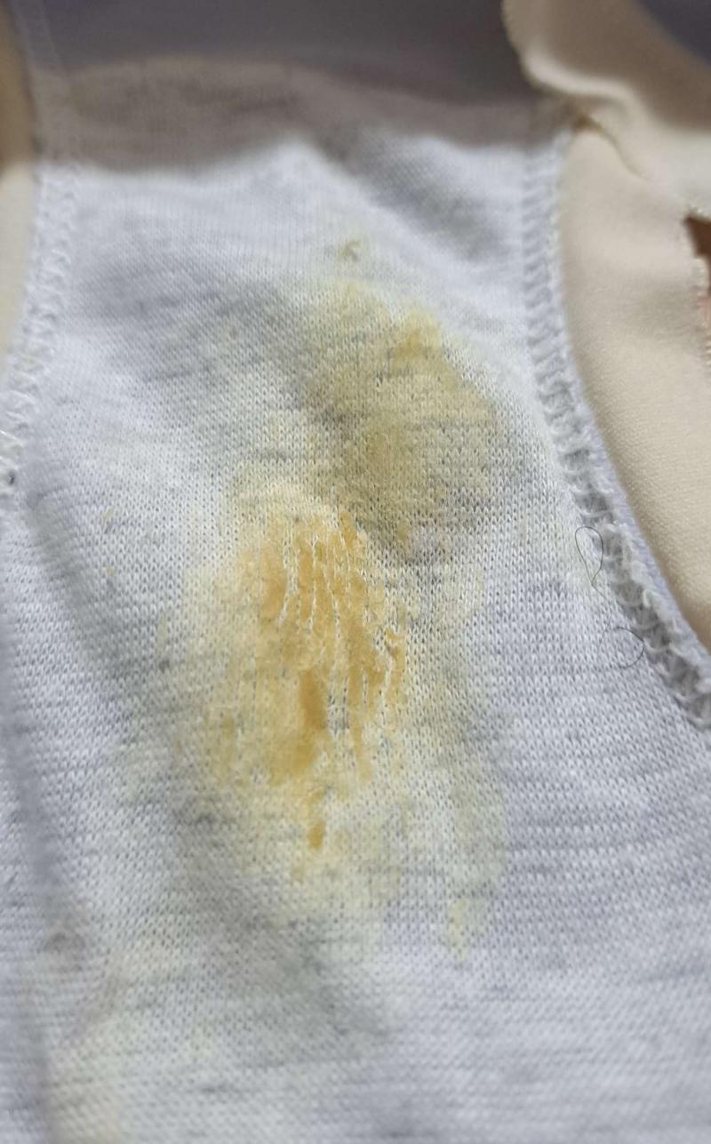 出品者名-写真