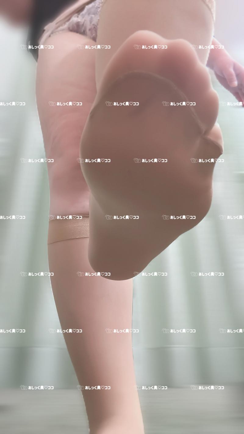 出品者名-写真-1