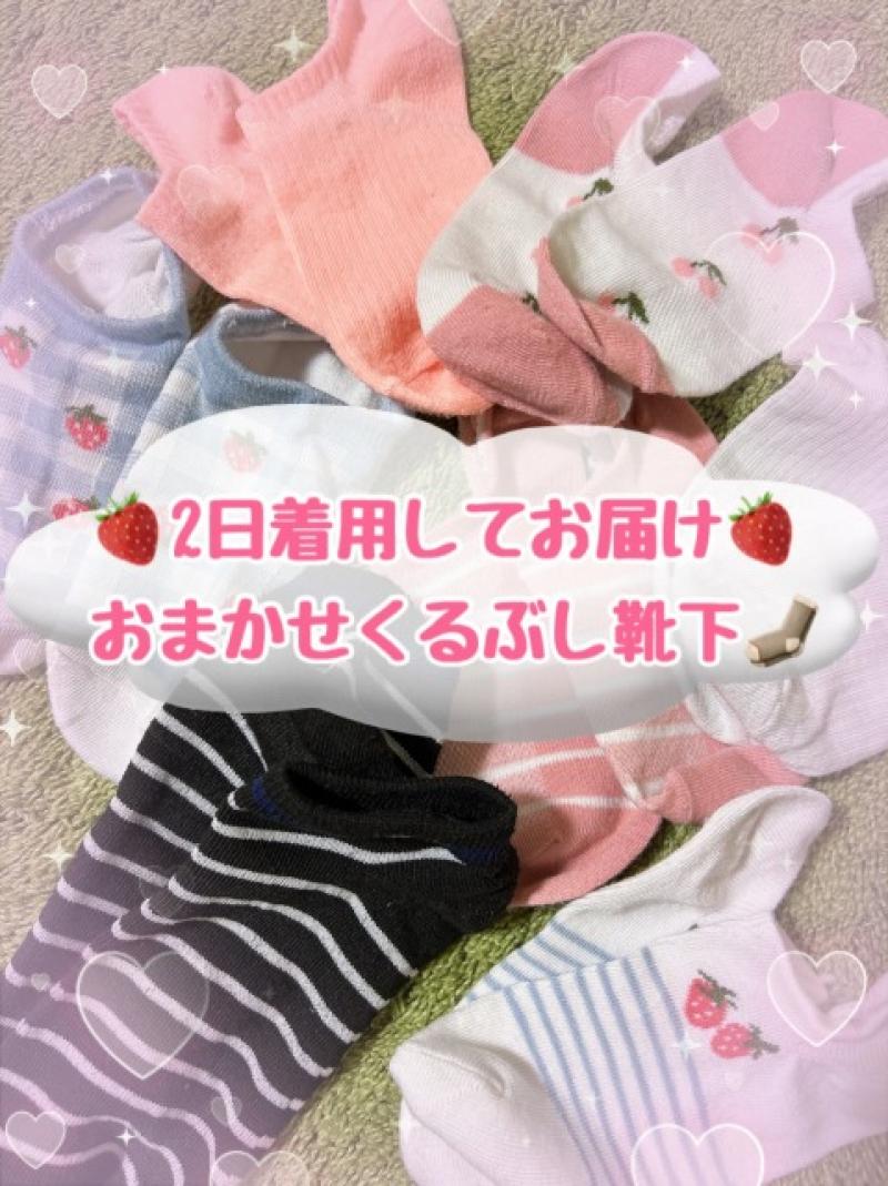 出品者名-写真