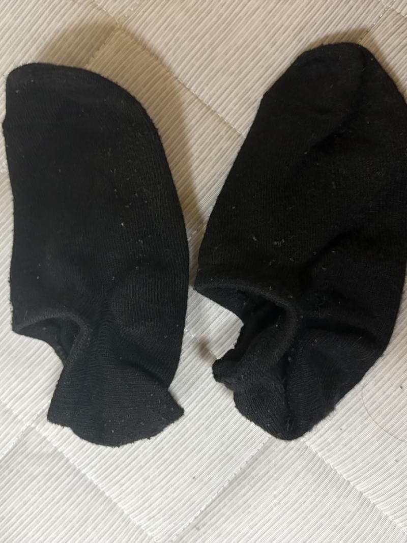 出品者名-写真-1