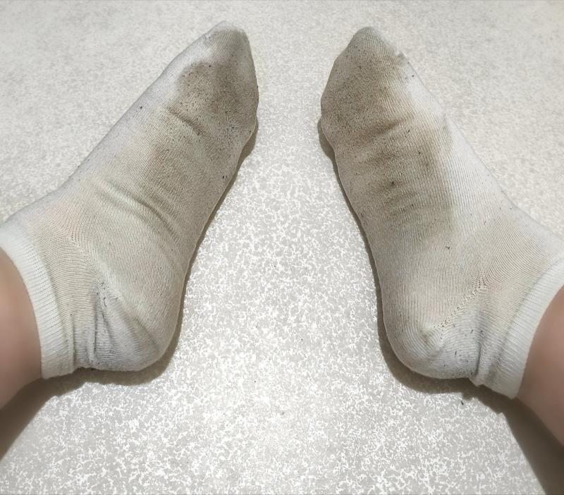 出品者名-写真-1