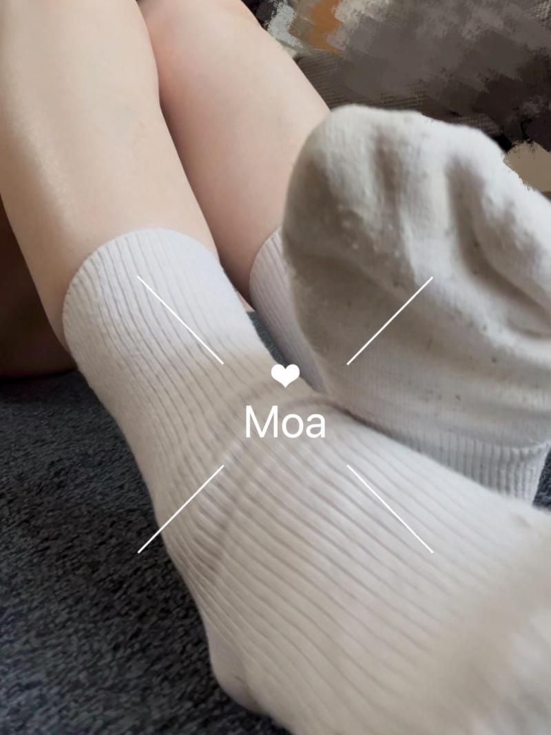 出品者名-写真-1
