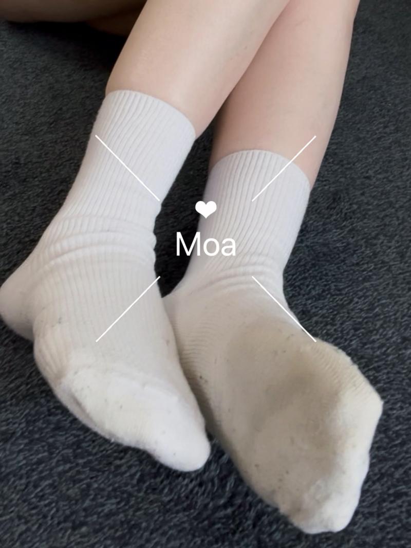出品者名-写真-1