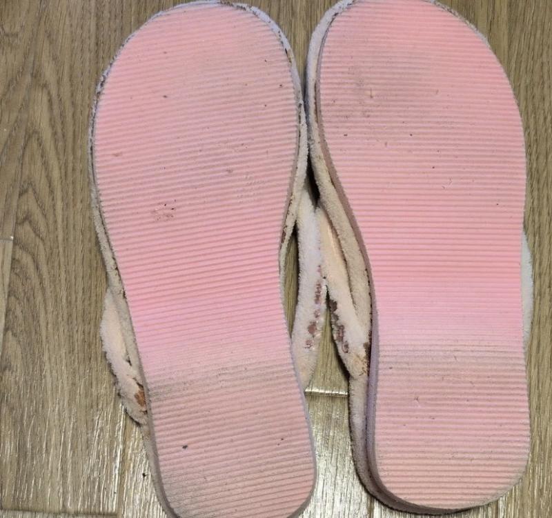 出品者名-写真-1
