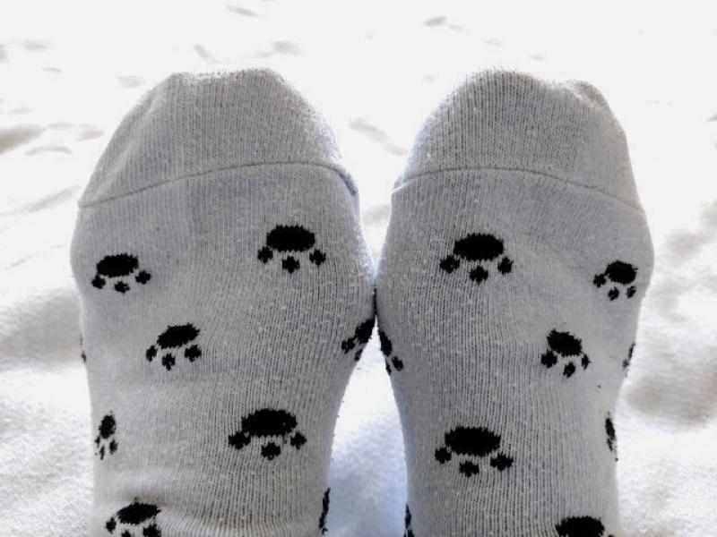 出品者名-写真-1