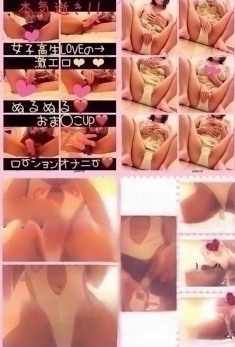 出品者名-写真