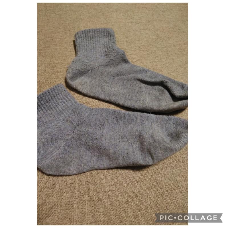 出品者名-写真
