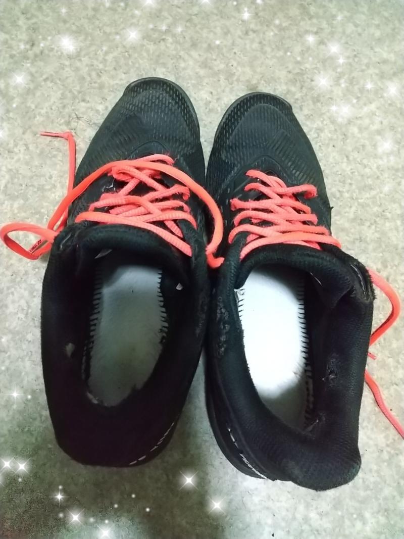 出品者名-写真-1