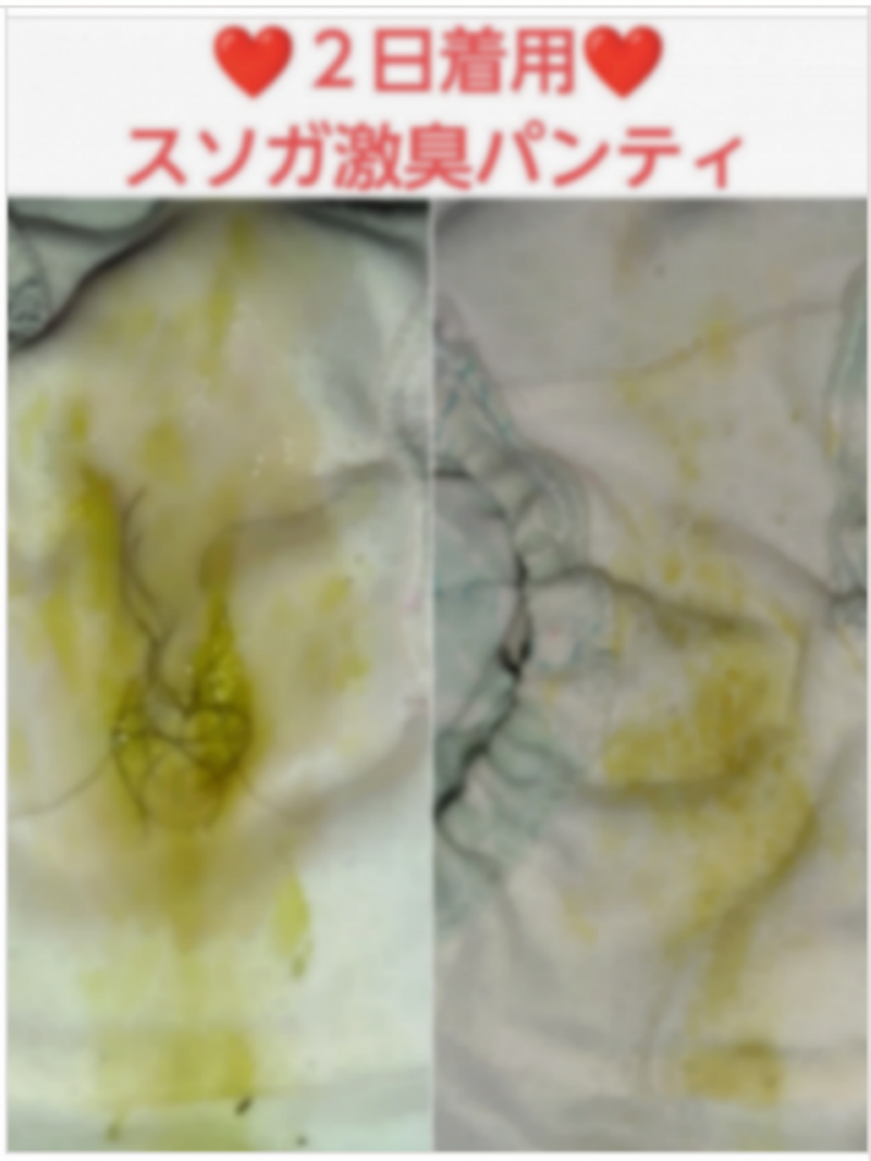 出品者名-写真