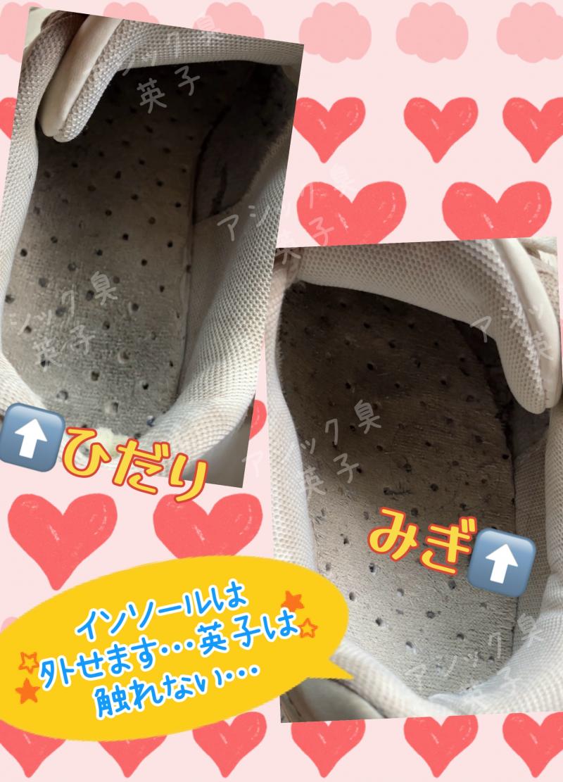 出品者名-写真