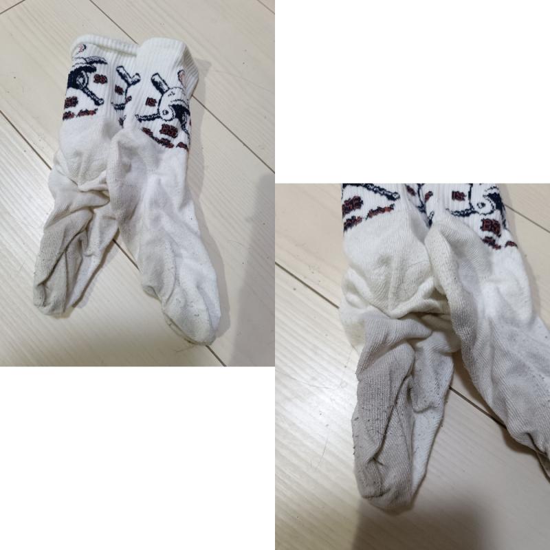 出品者名-写真