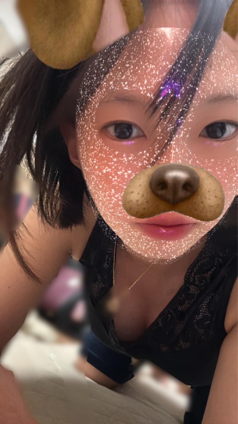 出品者名-写真-1