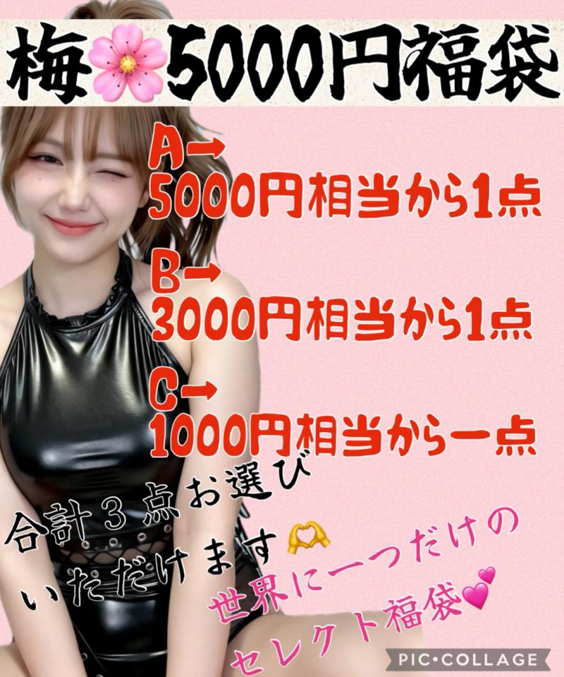 【梅】世界にひとつだけ□あなたが選ぶオンリーワンのオーダー福袋❕