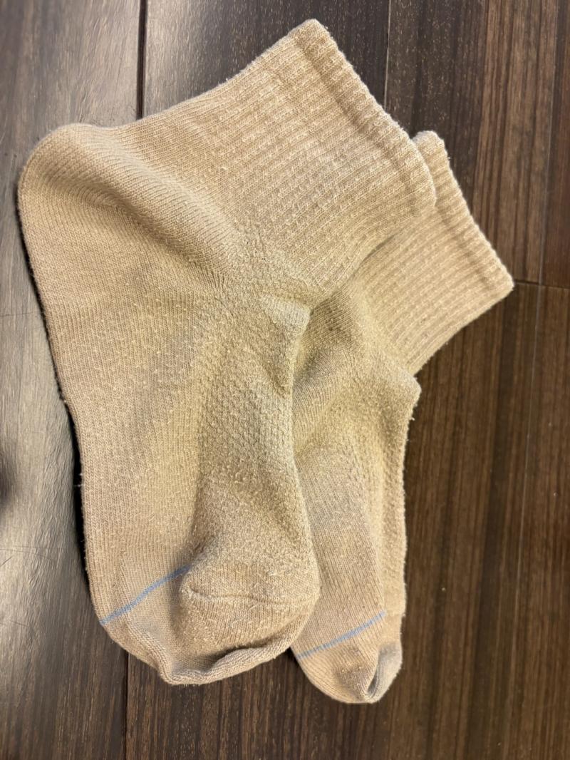 出品者名-写真-1