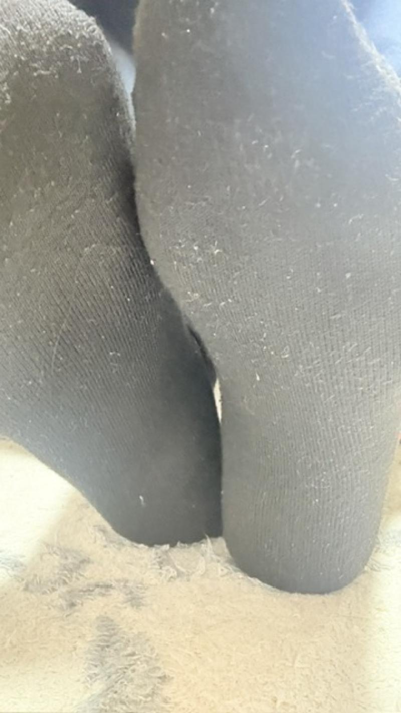 出品者名-写真-1