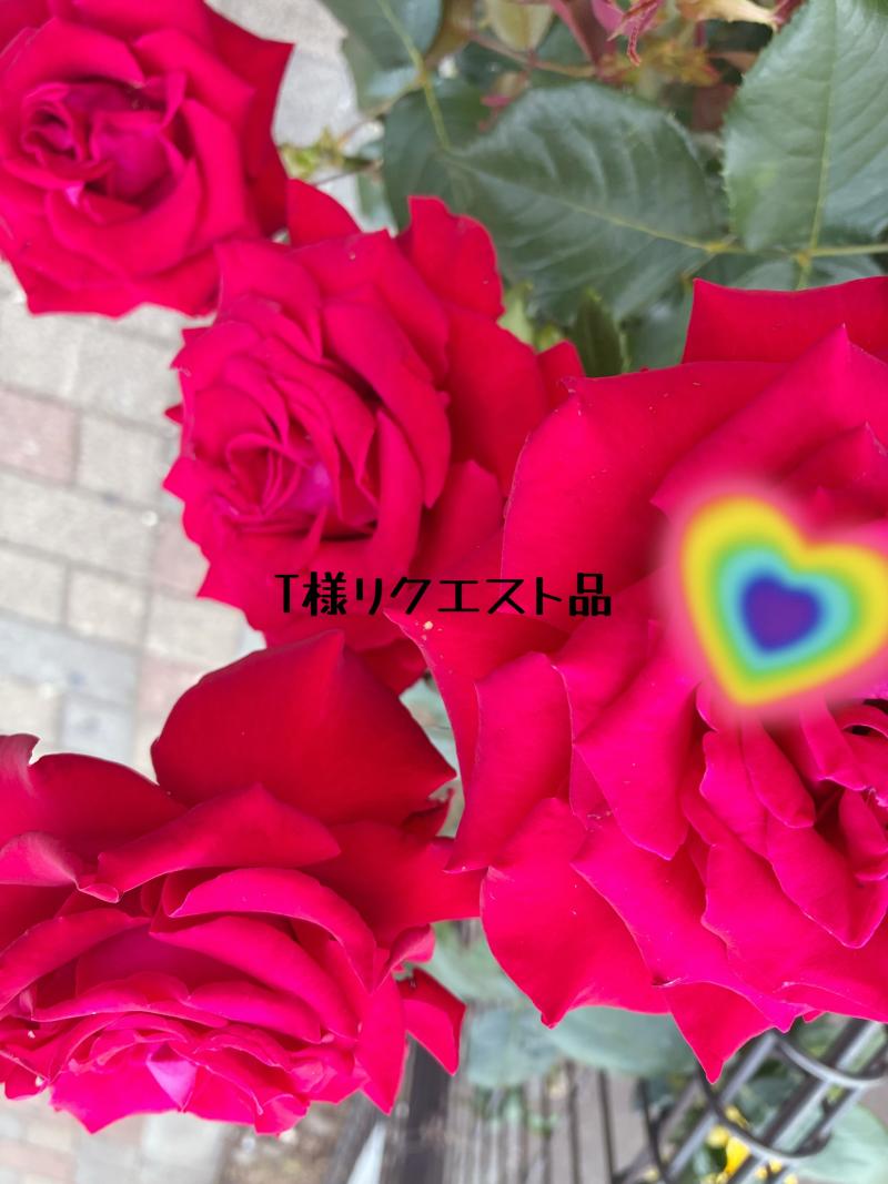 T様リクエスト品