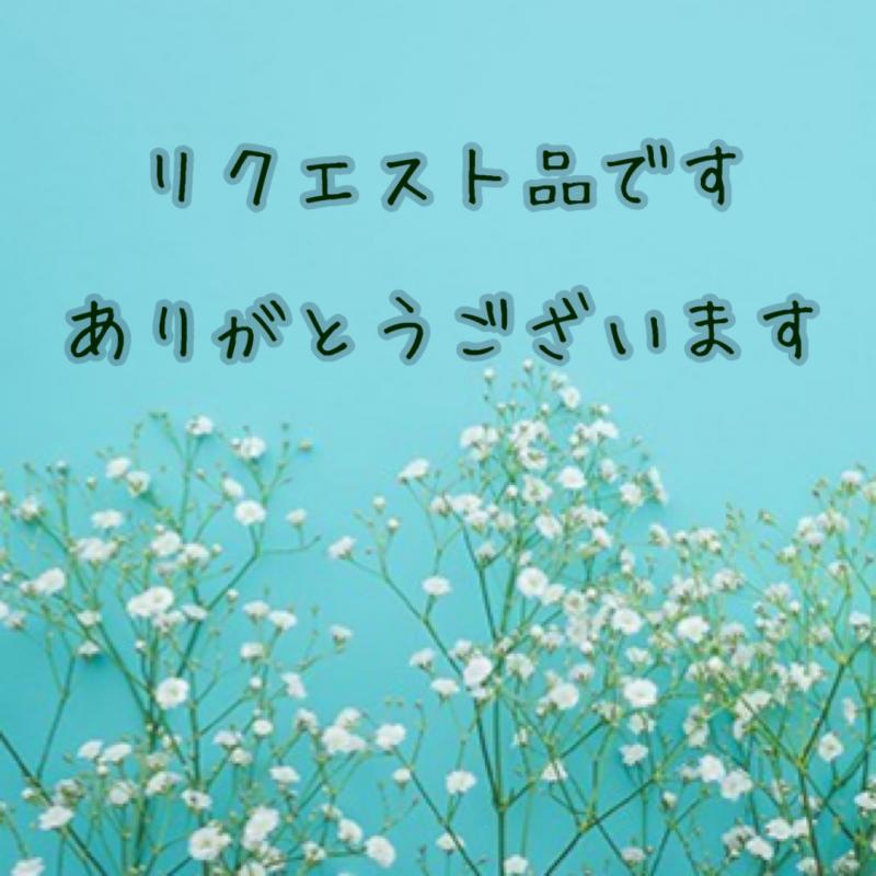 ひょんぎゅ様リクエスト品
