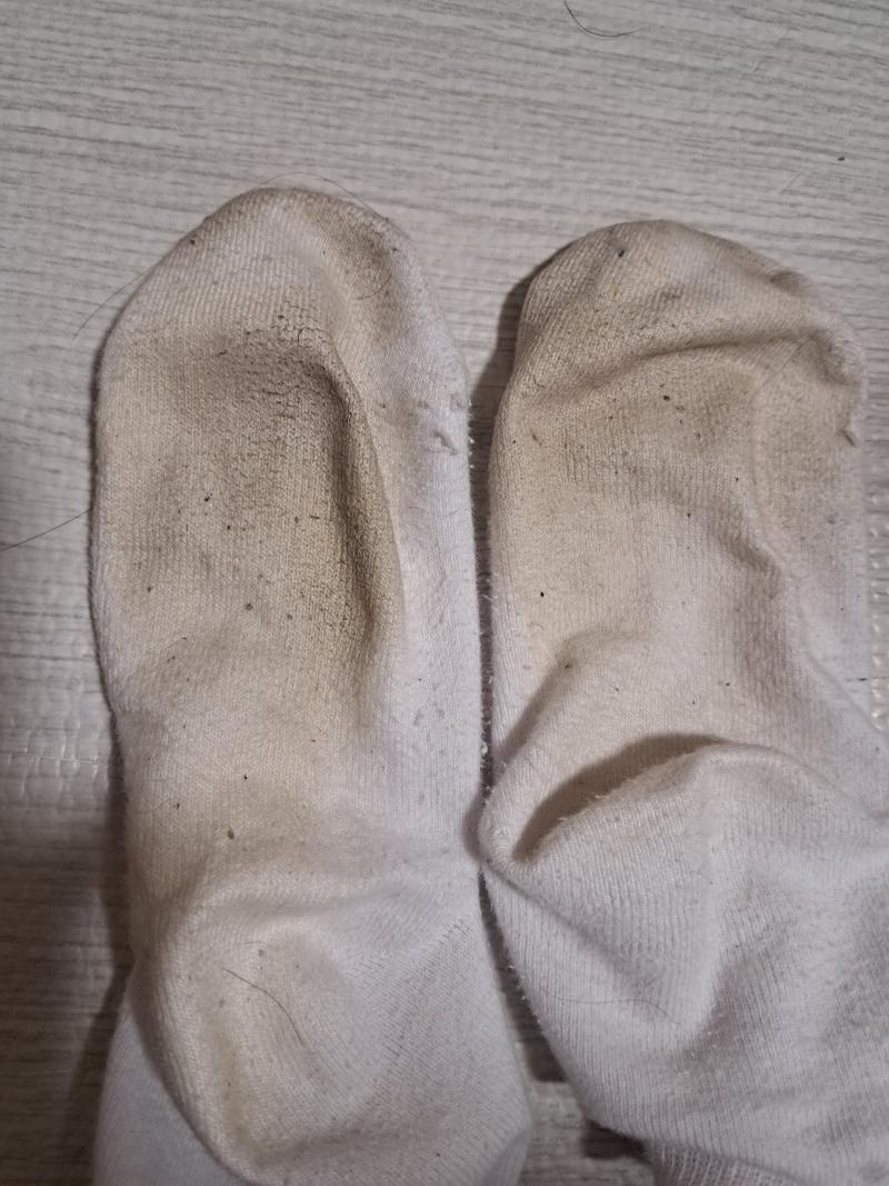出品者名-写真