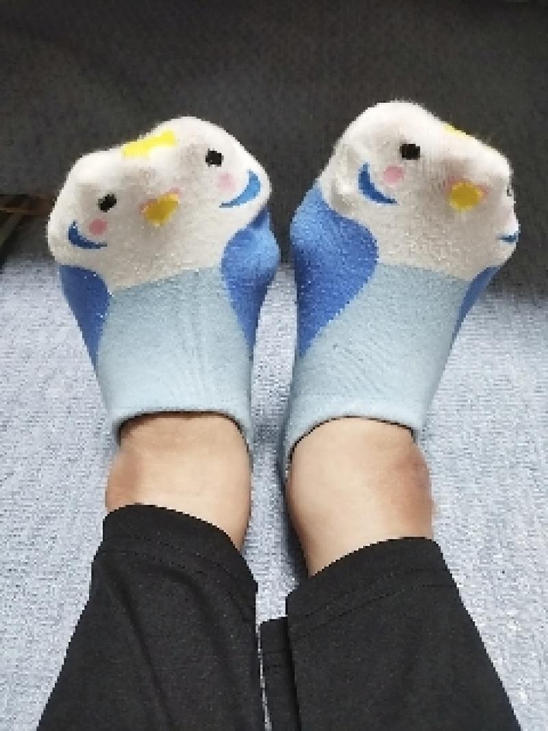 出品者名-写真-1