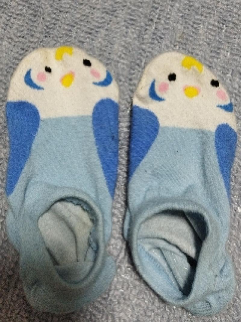 出品者名-写真-1