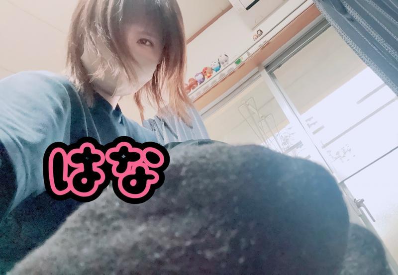 10時間×3日間（՞>‎⩊<՞）