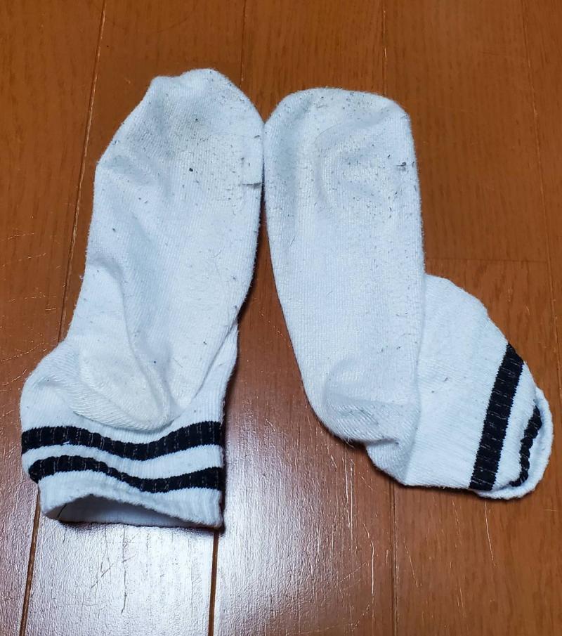 出品者名-写真