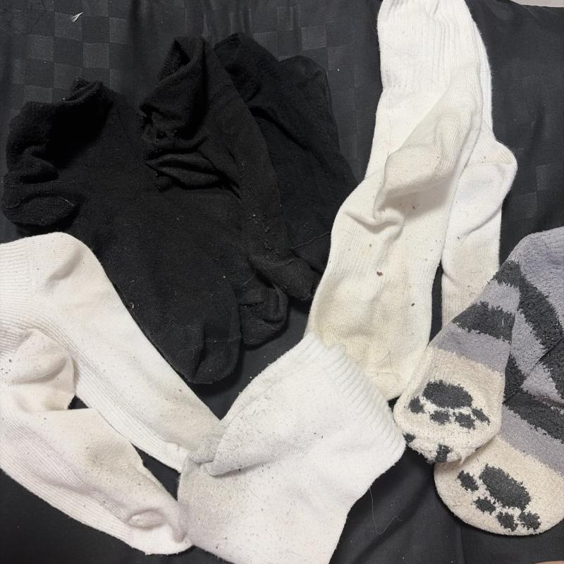 出品者名-写真