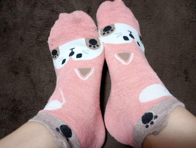 出品者名-写真-1