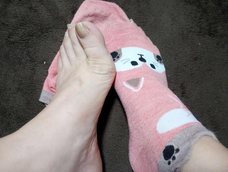 出品者名-写真-1