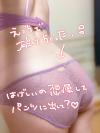 出品者名-写真-1