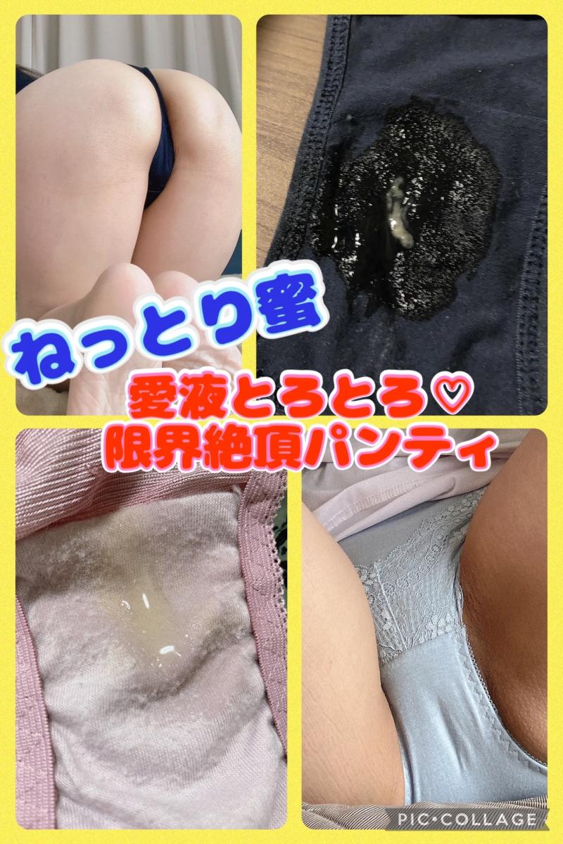 出品者名-写真