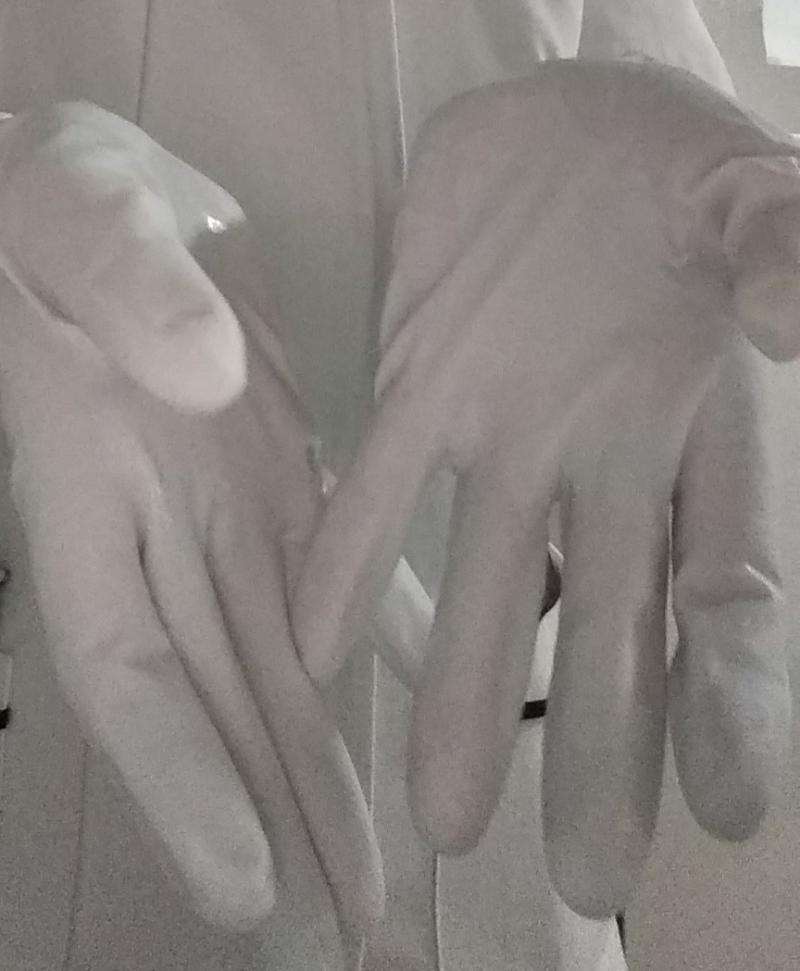 出品者名-写真-1