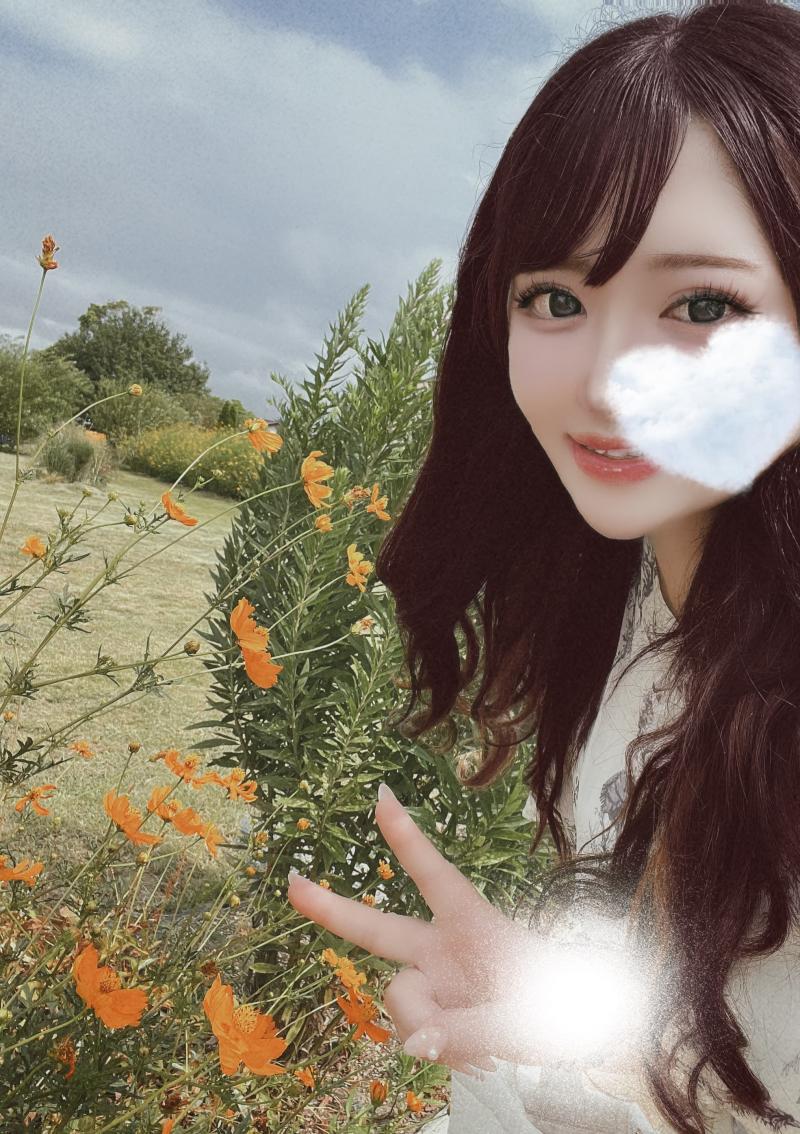 出品者名-写真-1