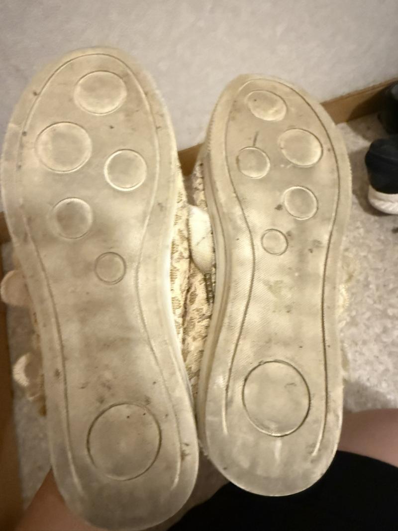 出品者名-写真-1