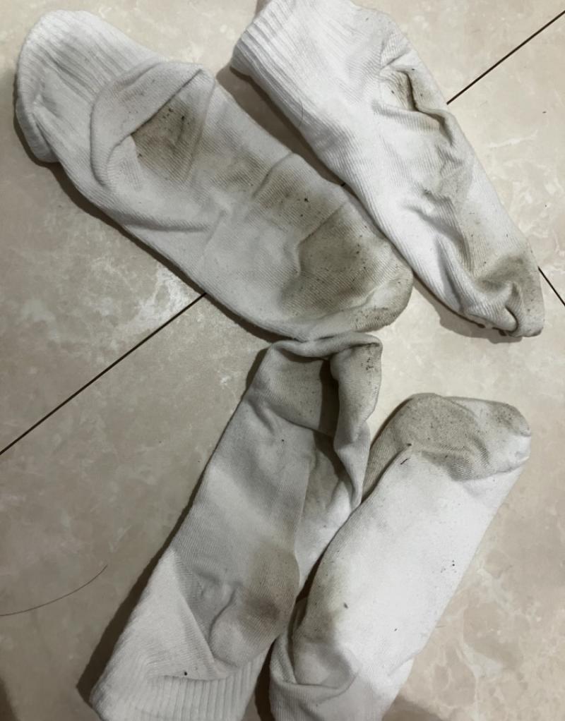 出品者名-写真