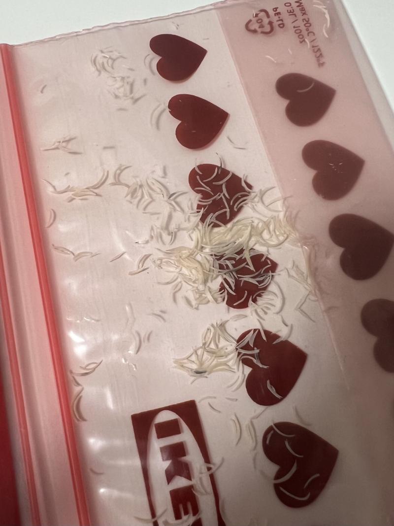 手足の爪合わせ