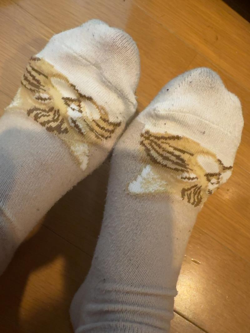 出品者名-写真-1