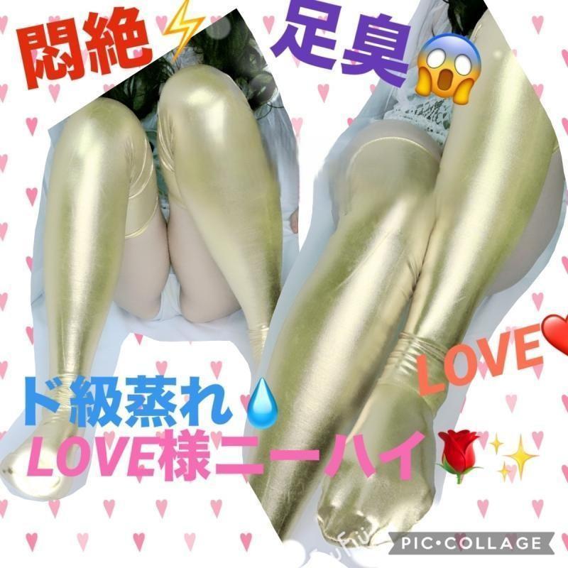 出品者名-写真-1